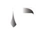 World Reward Solution Logo